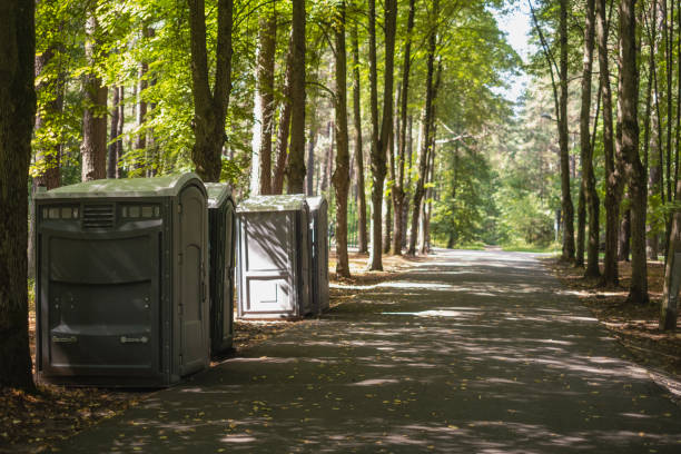 Best High-end porta potty rental  in Dillsboro, IN